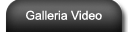 GalleriaVideo