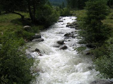 IMG0171
