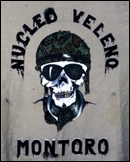 NucleoVelenoMontoro128b