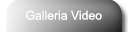 GalleriaVideo