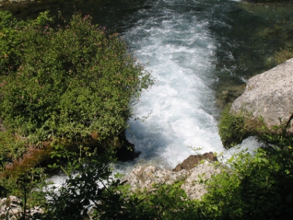 IMG0069