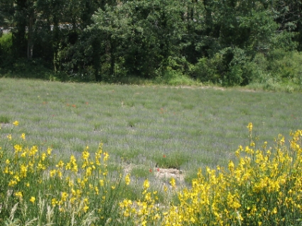 IMG0072