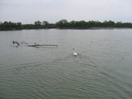 IMG0259