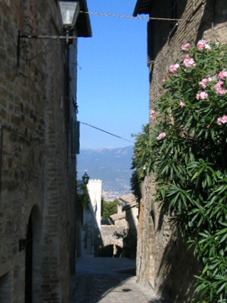 IMG0422