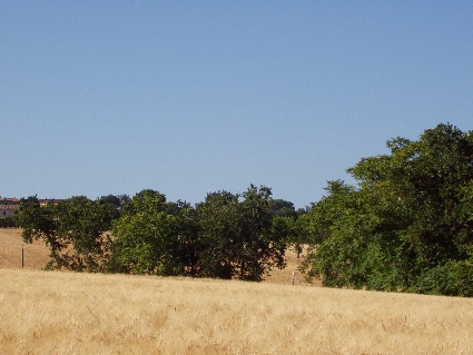 P7030004