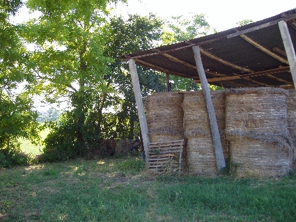 P7030005