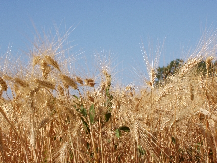 P7030008