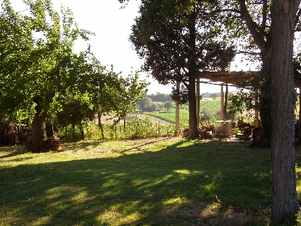 P7030020