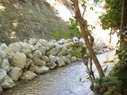 P7030024
