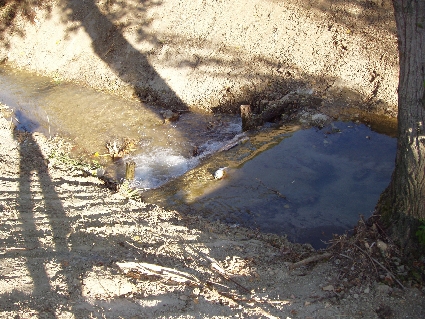P7030030