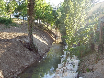 P7030032