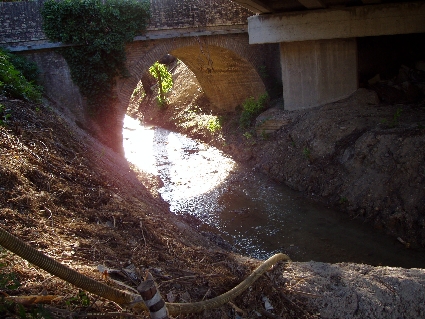 P7030044