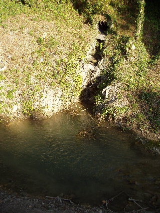 P7030058