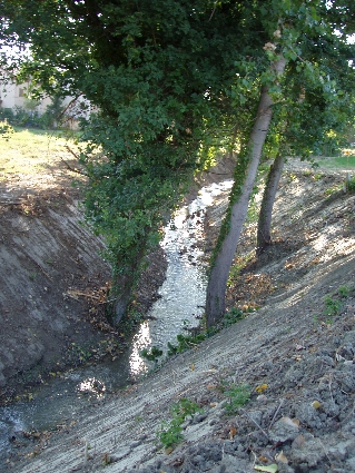 P7030064