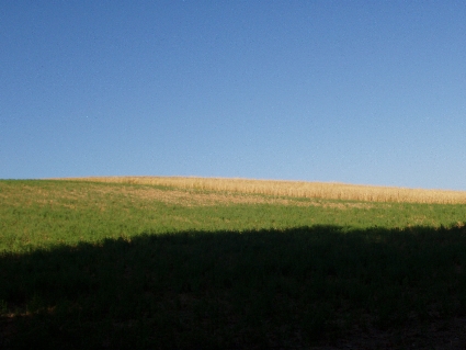 P7030070