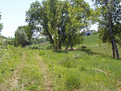 P7190097
