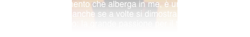 shapeimage8